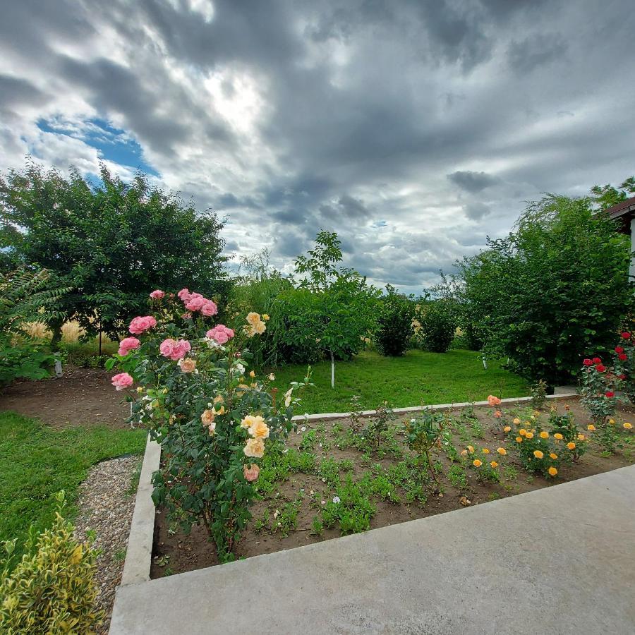 Villa Romelia - Select Apartments Vadu Eksteriør bilde